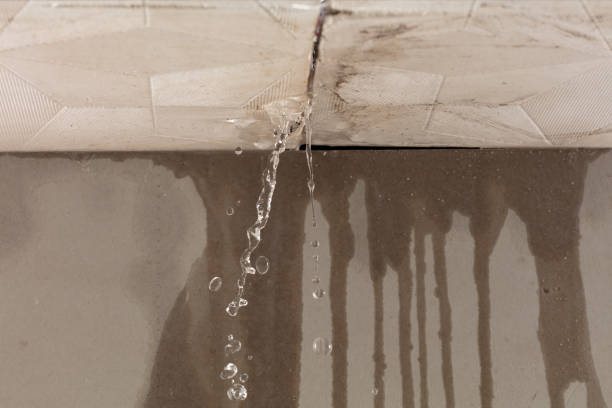 Professional Water Damage Repair technician working in Oakwood, PA
